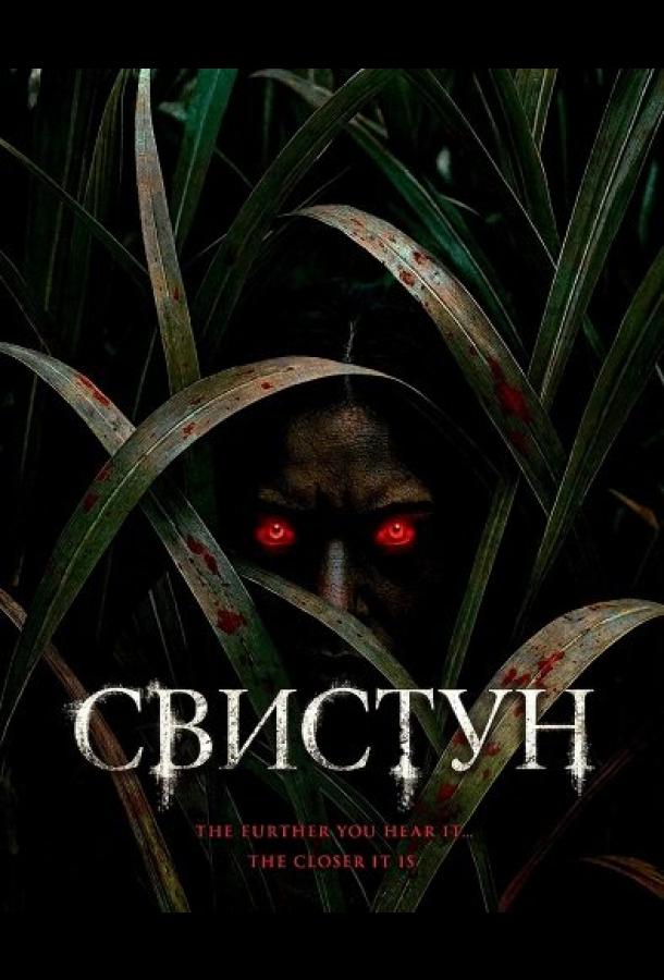 Свистун